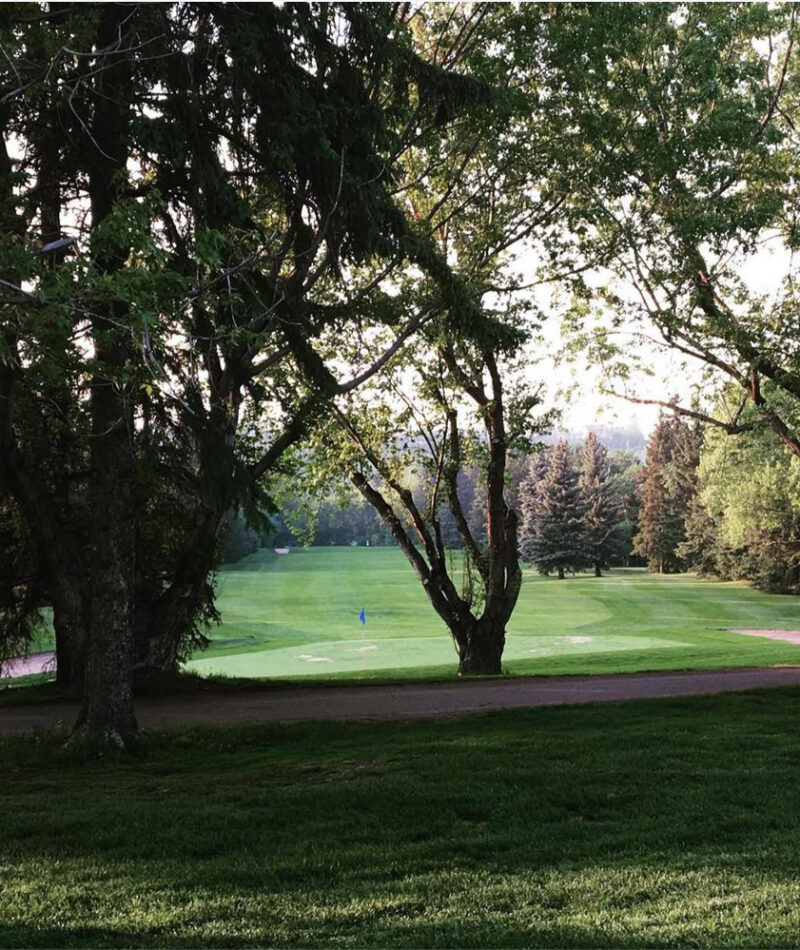 Decorative Background Image